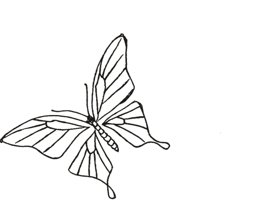 Schmetterling-Motiv